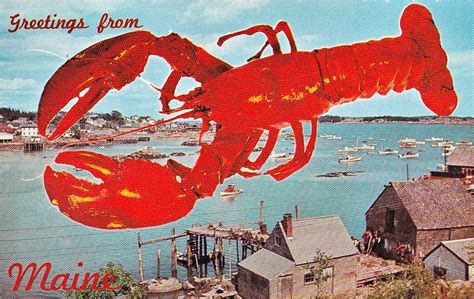 50 Shades of Lobster Red: What Color are Lobsters, Really?