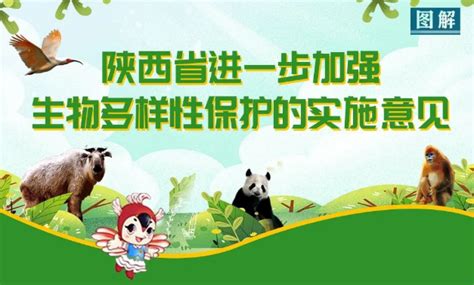 图解丨陕西省进一步加强生物多样性保护的实施意见凤凰网陕西凤凰网