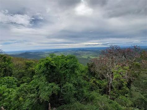 10 Best Hikes and Trails in Bunya Mountains National Park | AllTrails