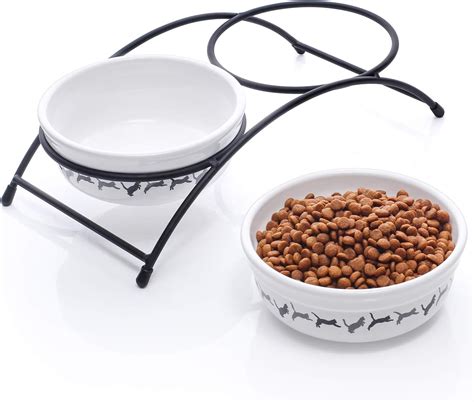 Y Yhy Ceramic Cat Food Bowl Raised Pet Food Dishes And Water Bowls