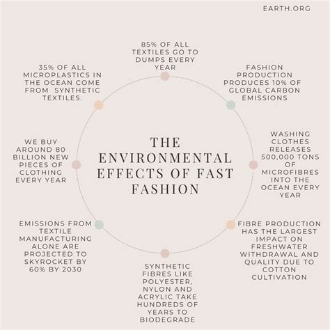 The Environmental Effects of Fast Fashion Infographic