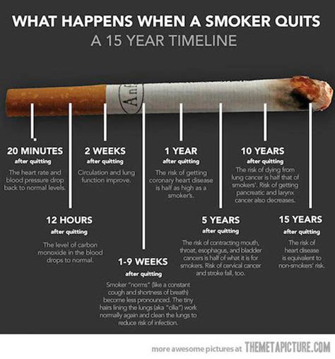 Quit Smoking Encouragement Quotes Quotesgram