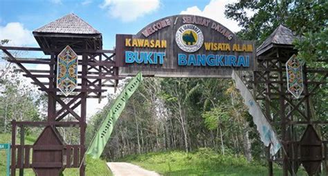 Petualangan Seru Di Bangkirai Hills Balikpapan Menjelajahi Keindahan