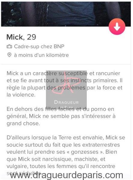 Bio Tinder Femme Drole Blageusdown