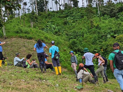 Ecological Restoration | School of Plant and Environmental Sciences ...