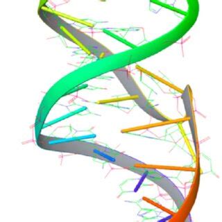 RNA tertiary structure example (PDB ID: 1AKX). | Download Scientific ...