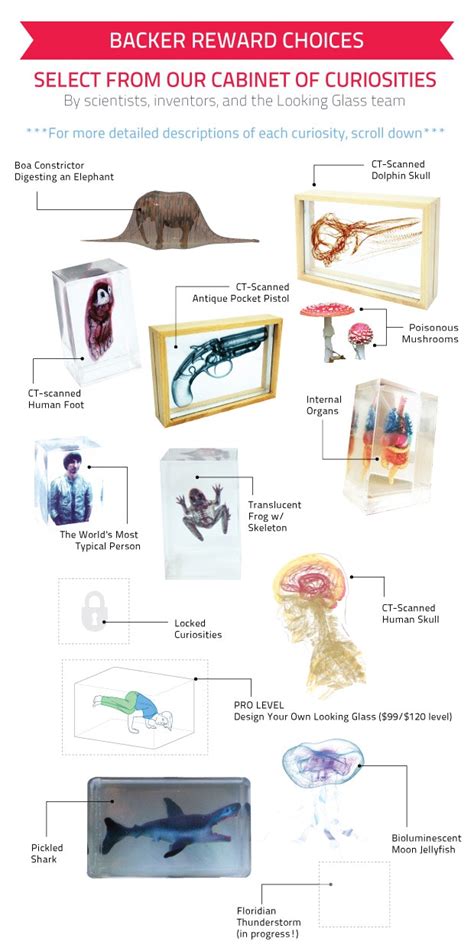 Looking Glass: Hologram 2.0 by Looking Glass — Kickstarter