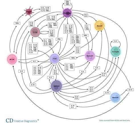 Cytokine Detection Services - Creative Diagnostics