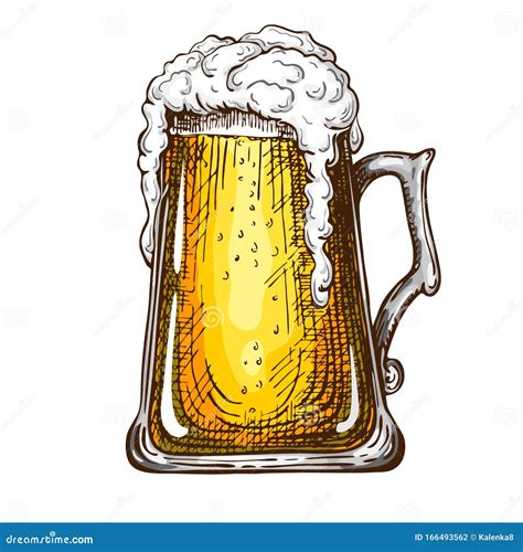 Vector Hand Drawn Traditional Beer Glass Full Of Wheat Beer With Foam Beautiful Vintage Etched