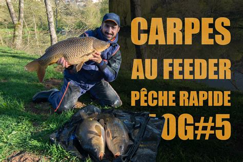 Carpe au feeder en mode pêche rapide vidéo VLOG 5