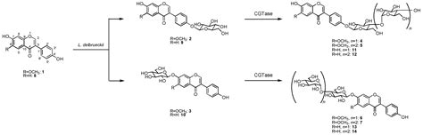 Molecules Free Full Text Synthesis of β Maltooligosaccharides of