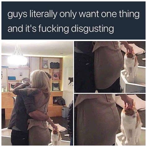 Pussy Meme