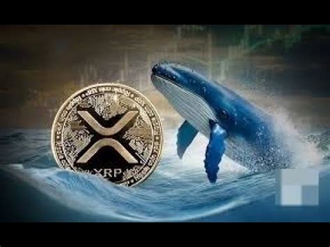 Is Xrp Starting To Move Major Japanese Exchange Transfers Million