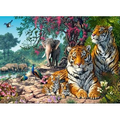 Tiger Schutzgebiet Teile Castorland Puzzle Online Kaufen