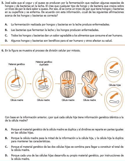 TOMi Digital EVALUACION DIAGNOSTICA CIENCIAS NATURALES 8o