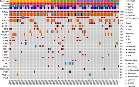 Histopathologic Features And Molecular Genetic Landscape Of HER2