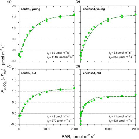 Photosynthetic Light Response Curves At Ambient Co 2 Concentration