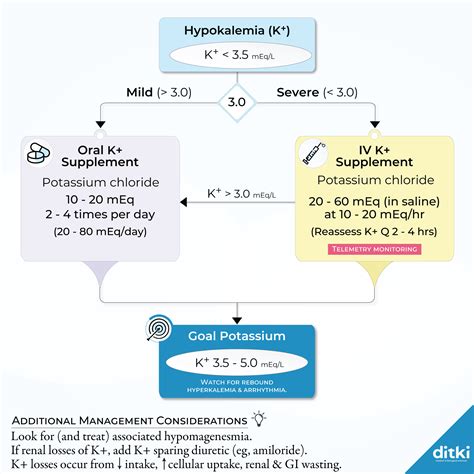 Endocrine System Hypokalemia Management Ditki Medical And Biological