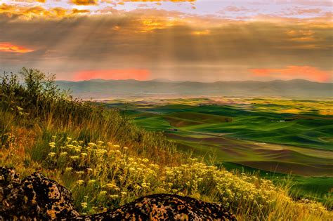 Magic Lighting over The Palouse | Palouse, Beautiful landscapes, Landscape