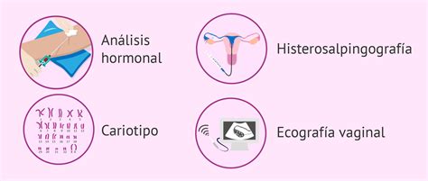 ¿cuáles Son Las Señales De Fertilidad En La Mujer