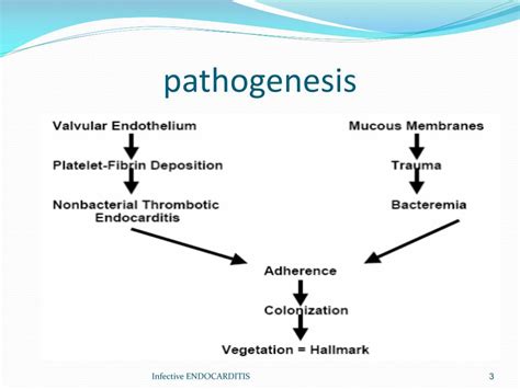 Ppt Infective Endocarditis Powerpoint Presentation Free Download Id 2883947