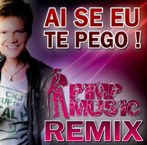 Le Star Systeme S S S Michel Telo Ai Se Eu Te