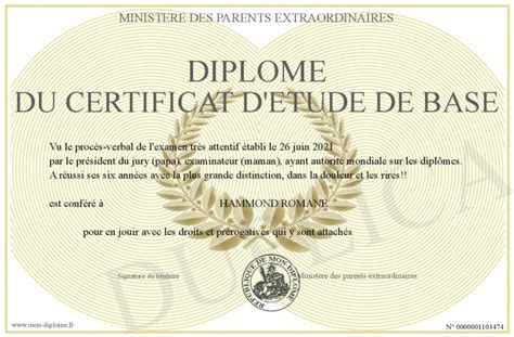 Diplome Du Certificat D Etude De Base