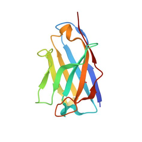 Rcsb Pdb Phq Structure Of Homo Dimeric Staphylococcus Capitis