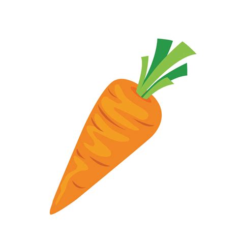 Carrot Fruit Cartoon Vector Illustration Isolated On White Background