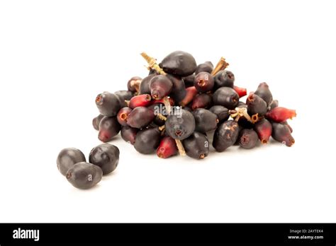 Syzygium Cumini Black Plum Jamun Or Syzygium Cumini Isolated On White