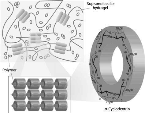 Formation Of A Supramolecular Hydrogel Of ␣ Cd And Download