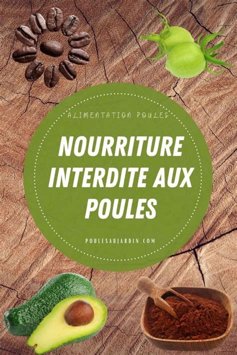 Aliments Interdits Et Toxiques Pour Les Poules Poule Poule Pondeuse