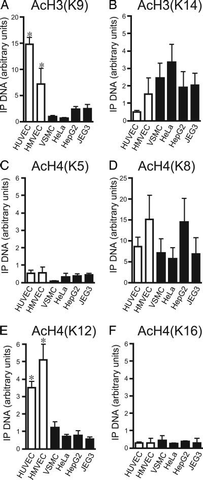 Endothelial Cells Are Enriched In Acetylated Histone H3 Lysine 9 And