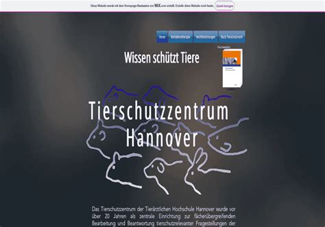 Tierschutzzentrum Hannover Tierheim Gesucht De