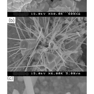 Sem Micrographs Of A The Gan Powders A Obtained By Calcining A