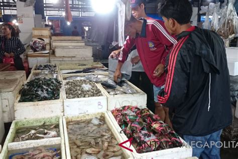 Cuaca Membaik Harga Ikan Laut Kembali Normal ANTARA News Megapolitan