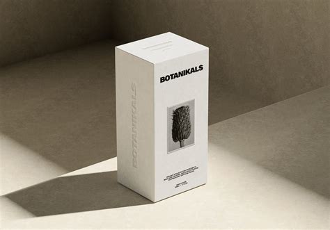 Box Packaging Mockup