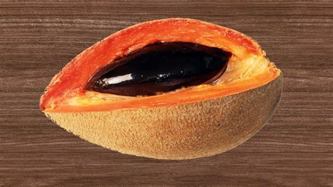 Sencillo Truco Para Cultivar Mamey En Casa Solo Necesitas Su Hueso