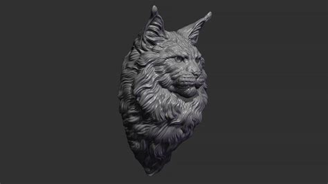 Maine Coon Head 3d Model By Guninnik81