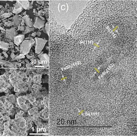 Field Emission Scanning Electron Microscopy Fe Sem Micrographs Of A