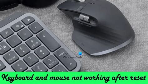 Keyboard And Mouse Not Working After Reset In Windows 11 10