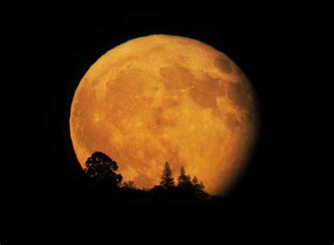 Glowing Harvest Moon Lights Up The Bay Area Sky