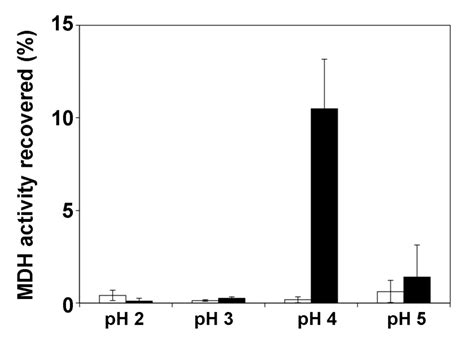 Detection Of The Ph Dependent Activity Of Escherichia Coli Chaperone