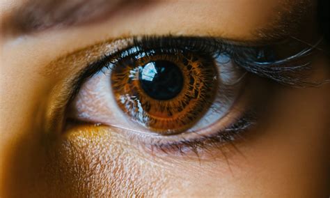 What Is Macular Degeneration And How Do Eye Doctors Treat It