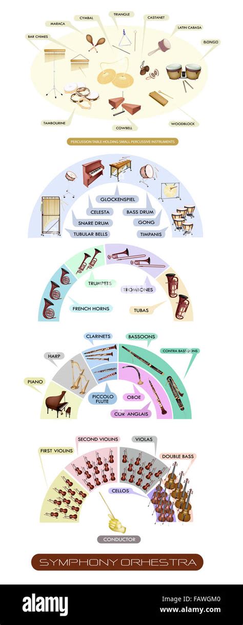 Illustration Collection Of Different Sections Of Musical Instrument For