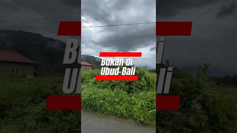 Bukan Di Ubud Pasaman Bukitbarisan Lovenature Lubuksikaping