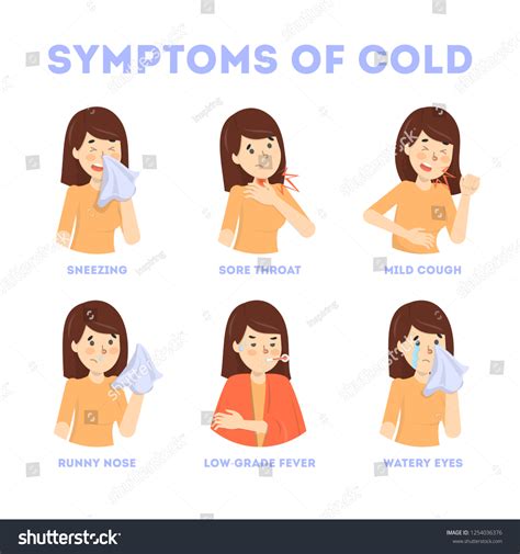 Cold Flu Symptoms Infographic Fever Cough Stock Vector (Royalty Free ...