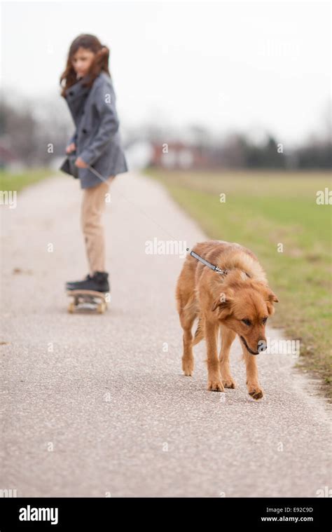 Von einem hund gezogen Fotos und Bildmaterial in hoher Auflösung Alamy