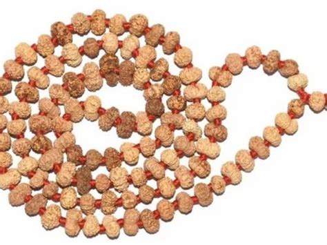 Round Brown Mukhi Indonesian Rudraksha Mala At Rs In Varanasi