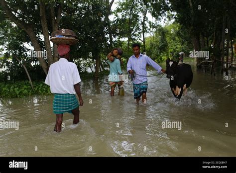 Villagers Walk Through Flooded Water At Dohar In Dhaka Bangladesh On